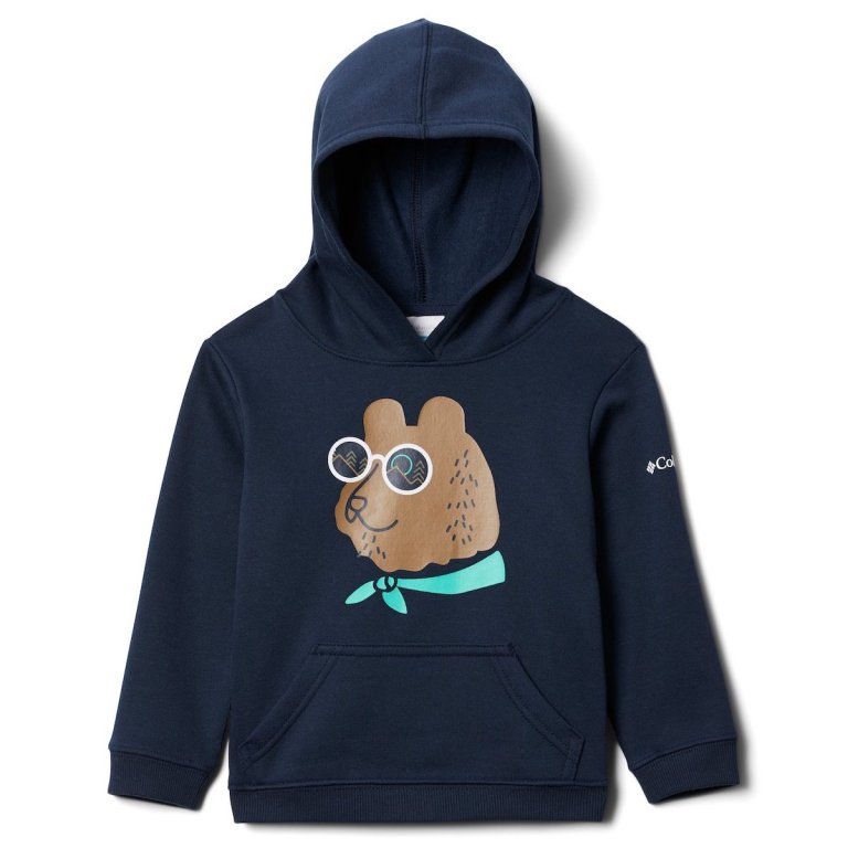 Світшот Columbia Basin Park™ Graphic Hoodie Jr - синій