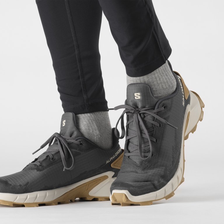 Взуття Salomon Alphacross 4 M - сірий