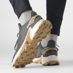 Взуття Salomon Alphacross 4 M - сірий