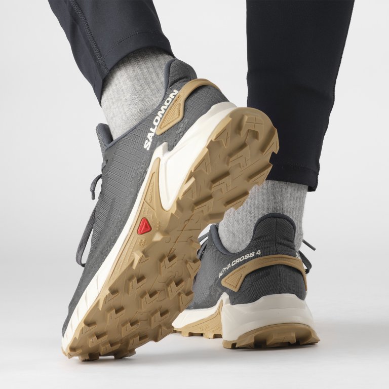 Взуття Salomon Alphacross 4 M - сірий