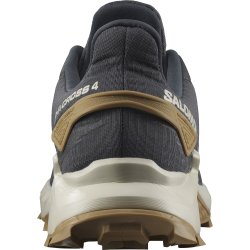 Взуття Salomon Alphacross 4 M - сірий