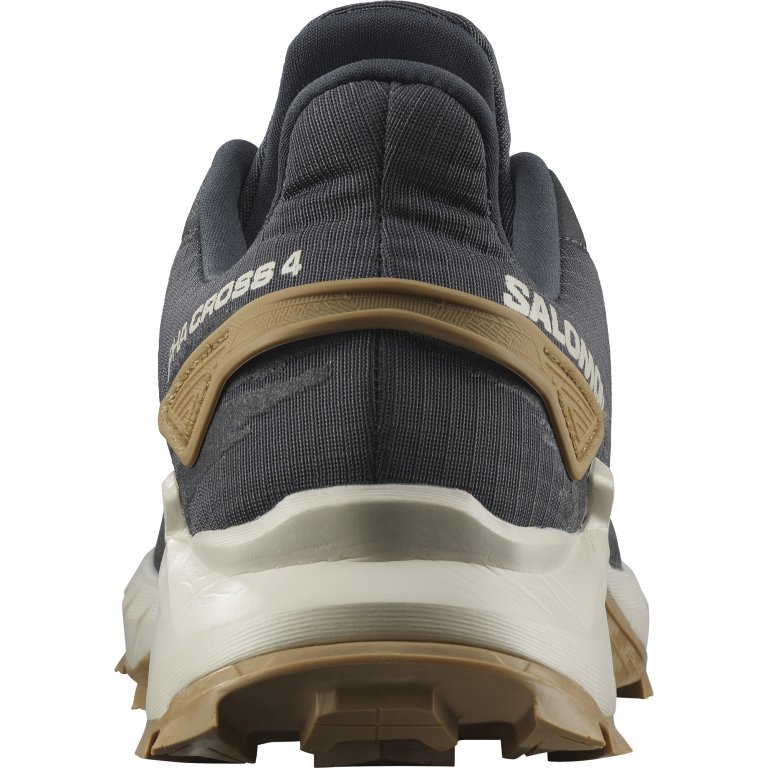 Взуття Salomon Alphacross 4 M - сірий