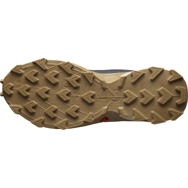 Взуття Salomon Alphacross 4 M - сірий