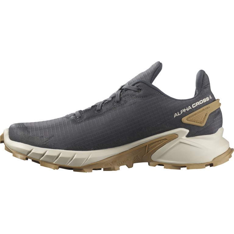 Взуття Salomon Alphacross 4 M - сірий