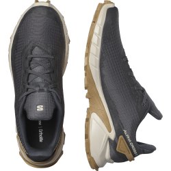 Взуття Salomon Alphacross 4 M - сірий