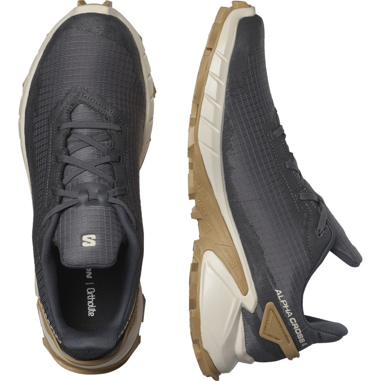 Взуття Salomon Alphacross 4 M - сірий