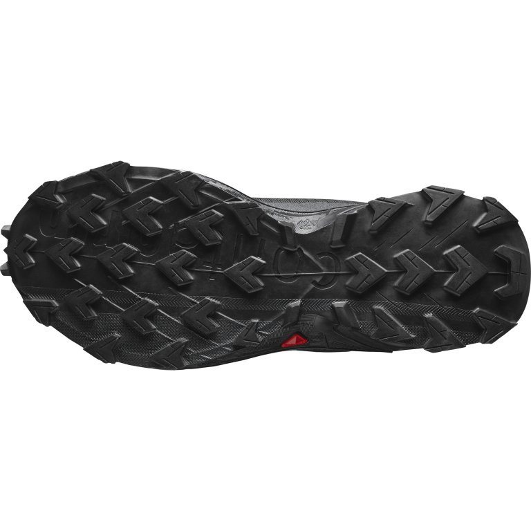 Взуття Salomon Alphacross 4 W - чорний