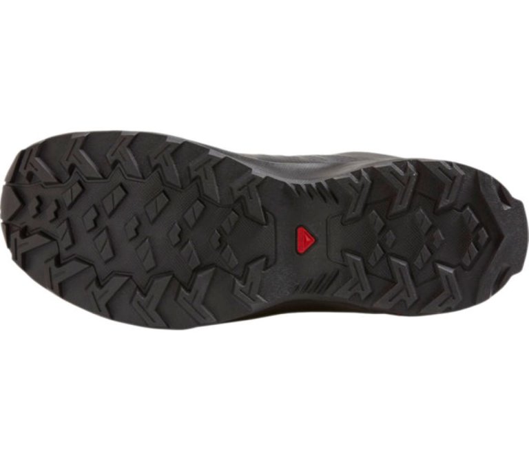 Obuv Salomon X-Render GTX W - černá