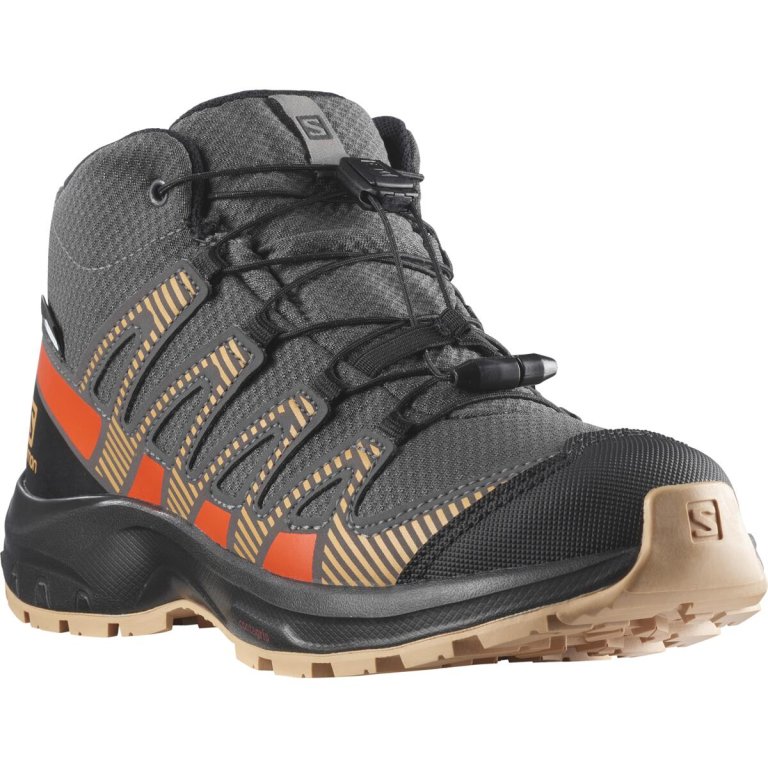 Взуття Salomon XA PRO V8 MID CSWP J - сірий