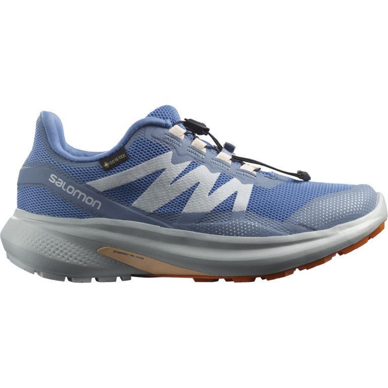 Взуття Salomon Hypulse GTX W - синій
