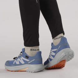 Взуття Salomon Hypulse GTX W - синій