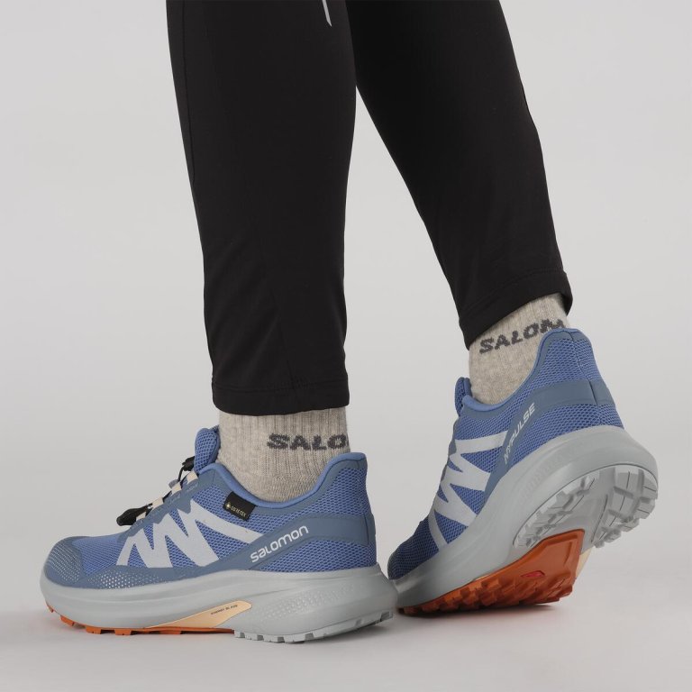 Взуття Salomon Hypulse GTX W - синій