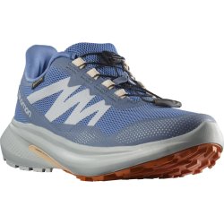 Взуття Salomon Hypulse GTX W - синій