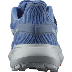 Взуття Salomon Hypulse GTX W - синій