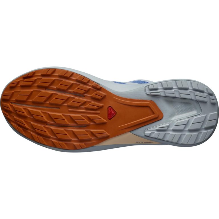 Взуття Salomon Hypulse GTX W - синій