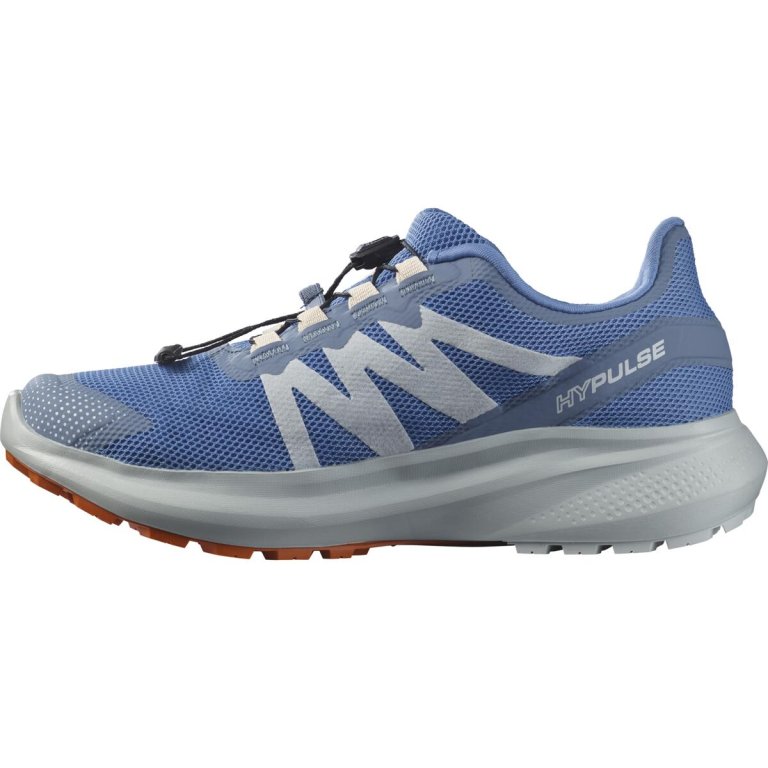 Взуття Salomon Hypulse GTX W - синій