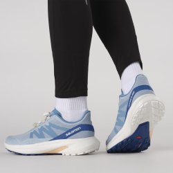 Взуття Salomon Hypulse W - синій