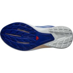 Взуття Salomon Hypulse W - синій