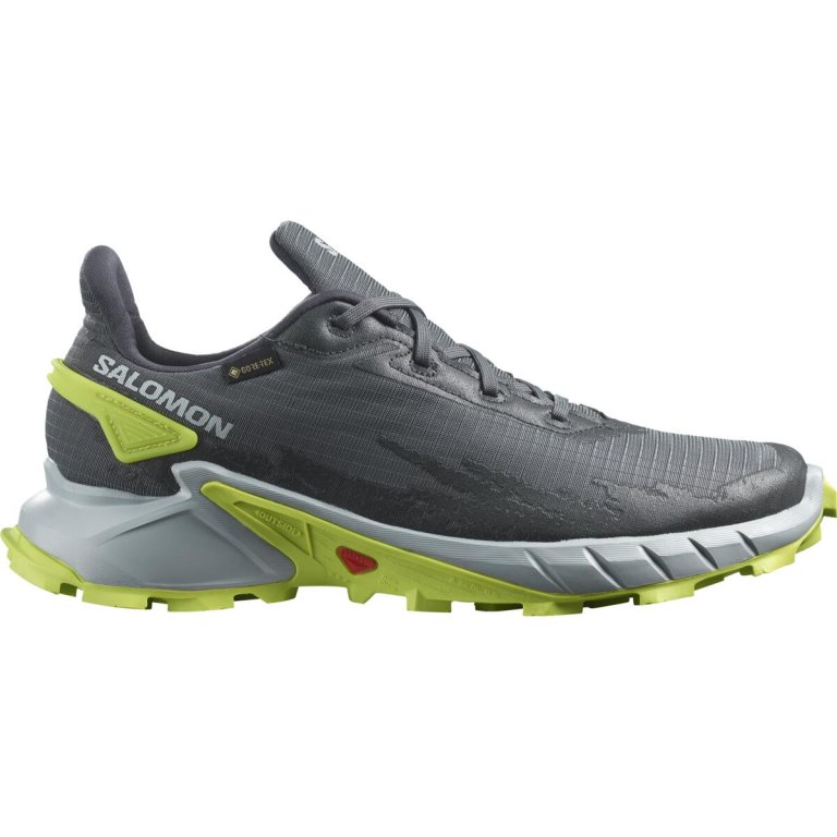Взуття Salomon Alphacross 4 GTX M - сірий