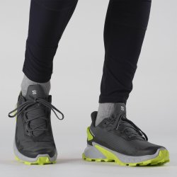 Взуття Salomon Alphacross 4 GTX M - сірий