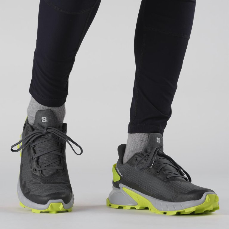 Взуття Salomon Alphacross 4 GTX M - сірий