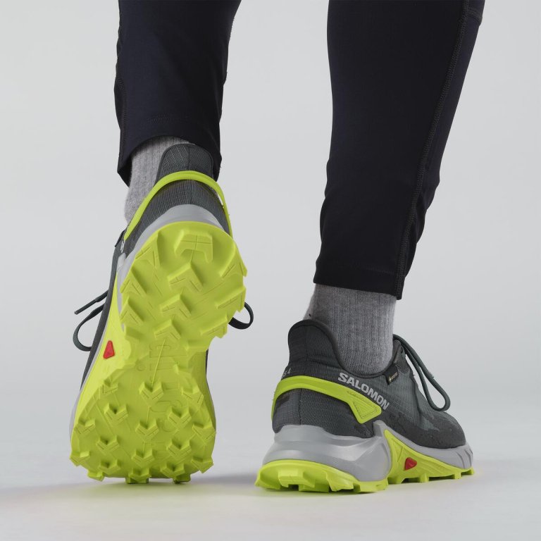 Взуття Salomon Alphacross 4 GTX M - сірий