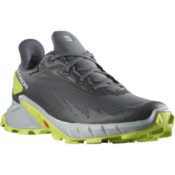 Взуття Salomon Alphacross 4 GTX M - сірий