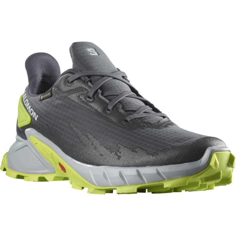Взуття Salomon Alphacross 4 GTX M - сірий