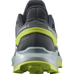 Взуття Salomon Alphacross 4 GTX M - сірий