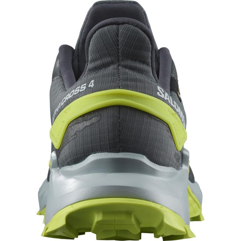 Взуття Salomon Alphacross 4 GTX M - сірий