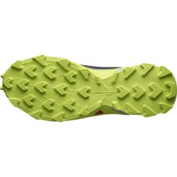 Взуття Salomon Alphacross 4 GTX M - сірий