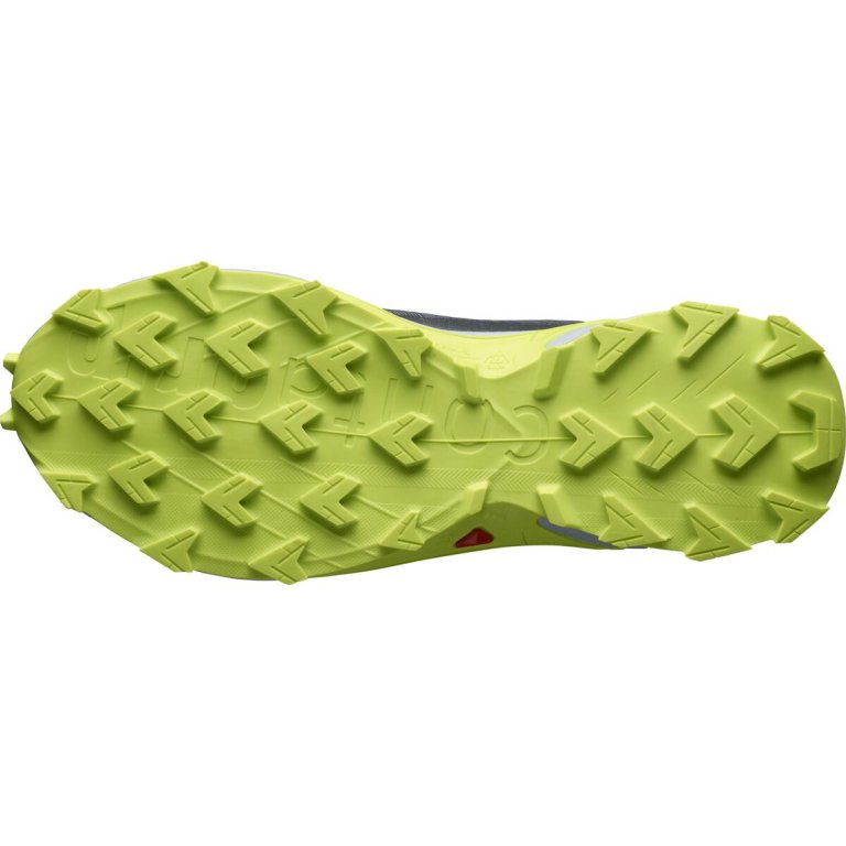 Взуття Salomon Alphacross 4 GTX M - сірий