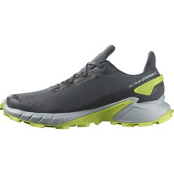 Взуття Salomon Alphacross 4 GTX M - сірий