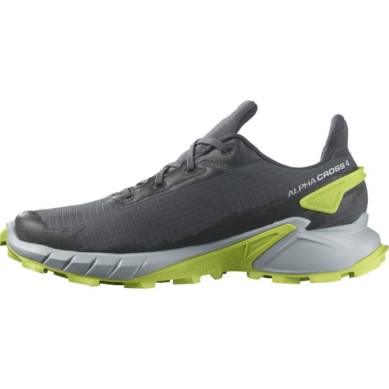 Взуття Salomon Alphacross 4 GTX M - сірий