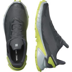 Взуття Salomon Alphacross 4 GTX M - сірий