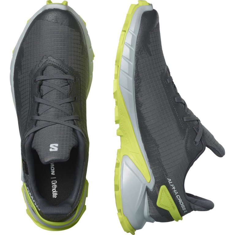 Взуття Salomon Alphacross 4 GTX M - сірий