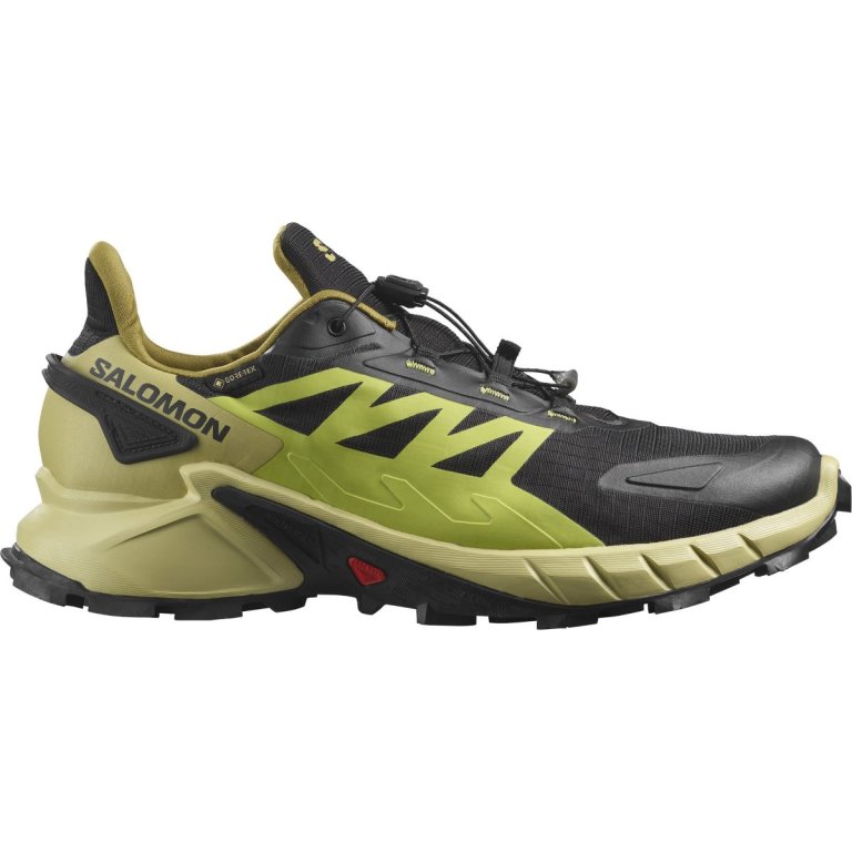 Взуття Salomon Supercross 4 GTX M - чорний/зелений