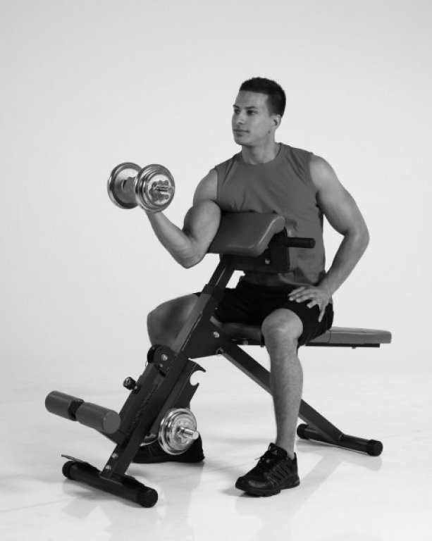 Posilovací lavice Finnlo AB and BACK Trainer - černá