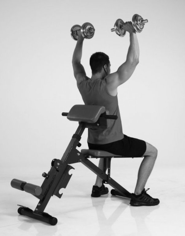 Posilovací lavice Finnlo AB and BACK Trainer - černá