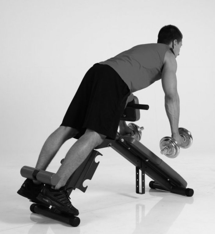 Posilovací lavice Finnlo AB and BACK Trainer - černá