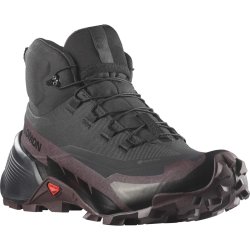 Взуття Salomon Cross Hike Mid GTX 2 W - сірий/коричневий/чорний
