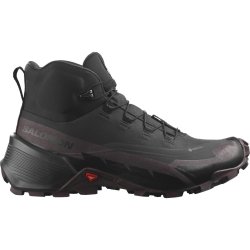 Взуття Salomon Cross Hike Mid GTX 2 W - сірий/коричневий/чорний