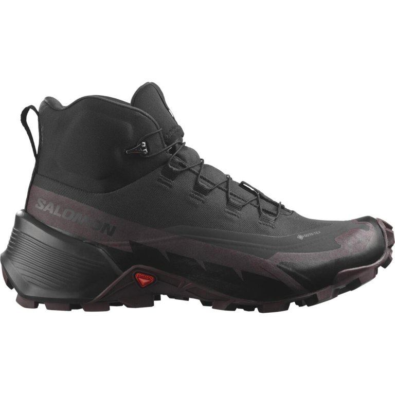 Взуття Salomon Cross Hike Mid GTX 2 W - сірий/коричневий/чорний