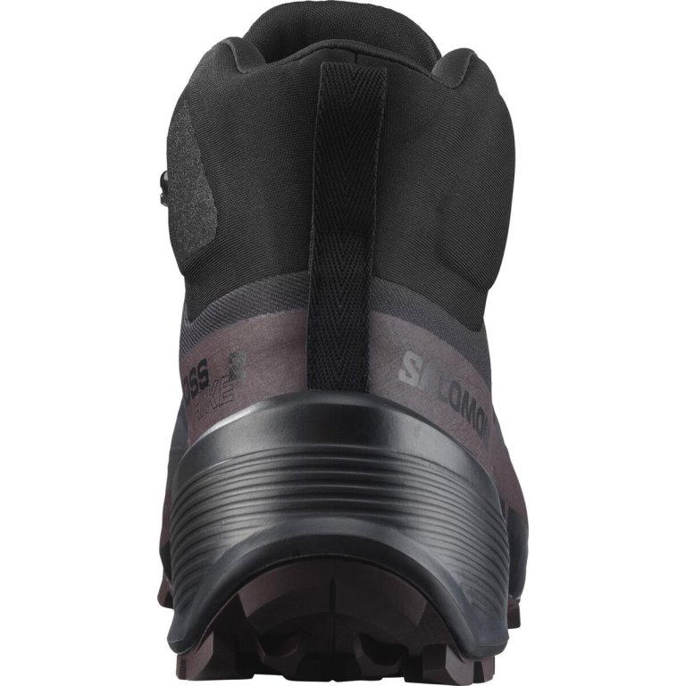 Взуття Salomon Cross Hike Mid GTX 2 W - сірий/коричневий/чорний