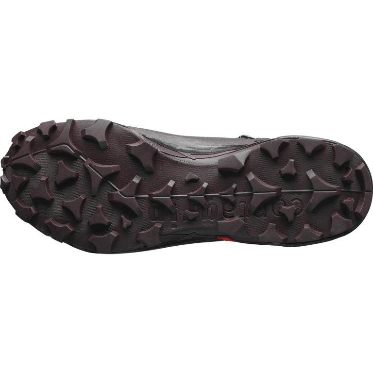 Взуття Salomon Cross Hike Mid GTX 2 W - сірий/коричневий/чорний