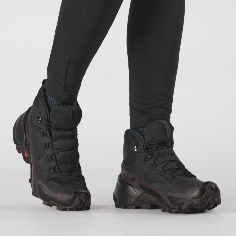 Взуття Salomon Cross Hike Mid GTX 2 W - сірий/коричневий/чорний
