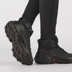 Взуття Salomon Cross Hike Mid GTX 2 W - сірий/коричневий/чорний