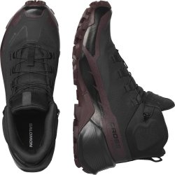 Взуття Salomon Cross Hike Mid GTX 2 W - сірий/коричневий/чорний