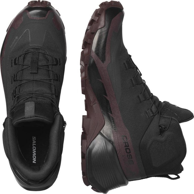 Взуття Salomon Cross Hike Mid GTX 2 W - сірий/коричневий/чорний