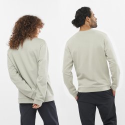 Кофта Salomon Outlife Logo Winter Crew Sweatshirt - бежева